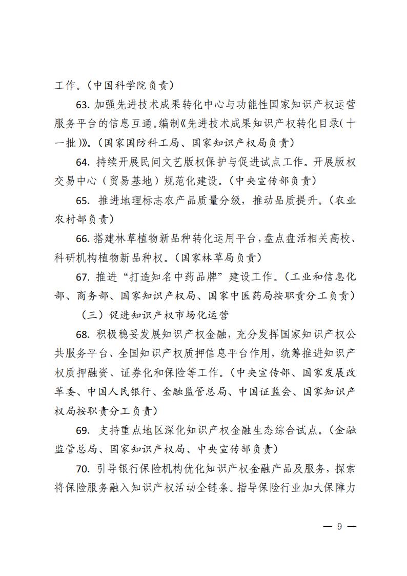 2026年知识产权强国建设推进计划_09.jpg