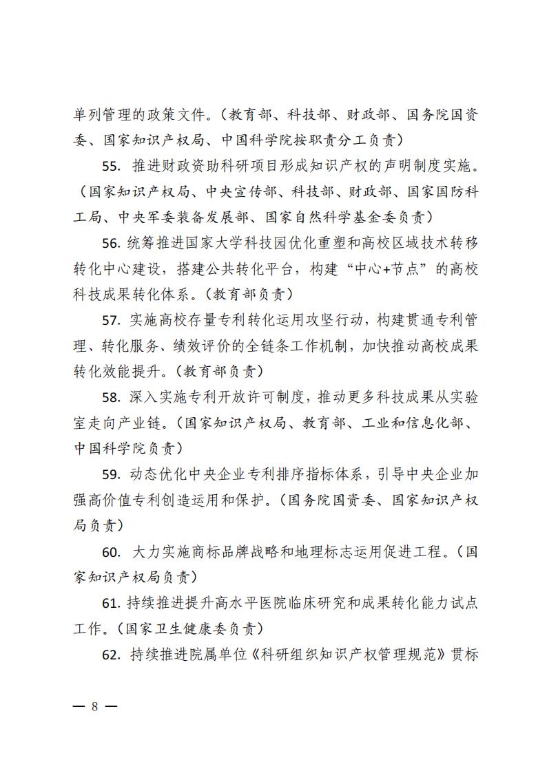2026年知识产权强国建设推进计划_08.jpg