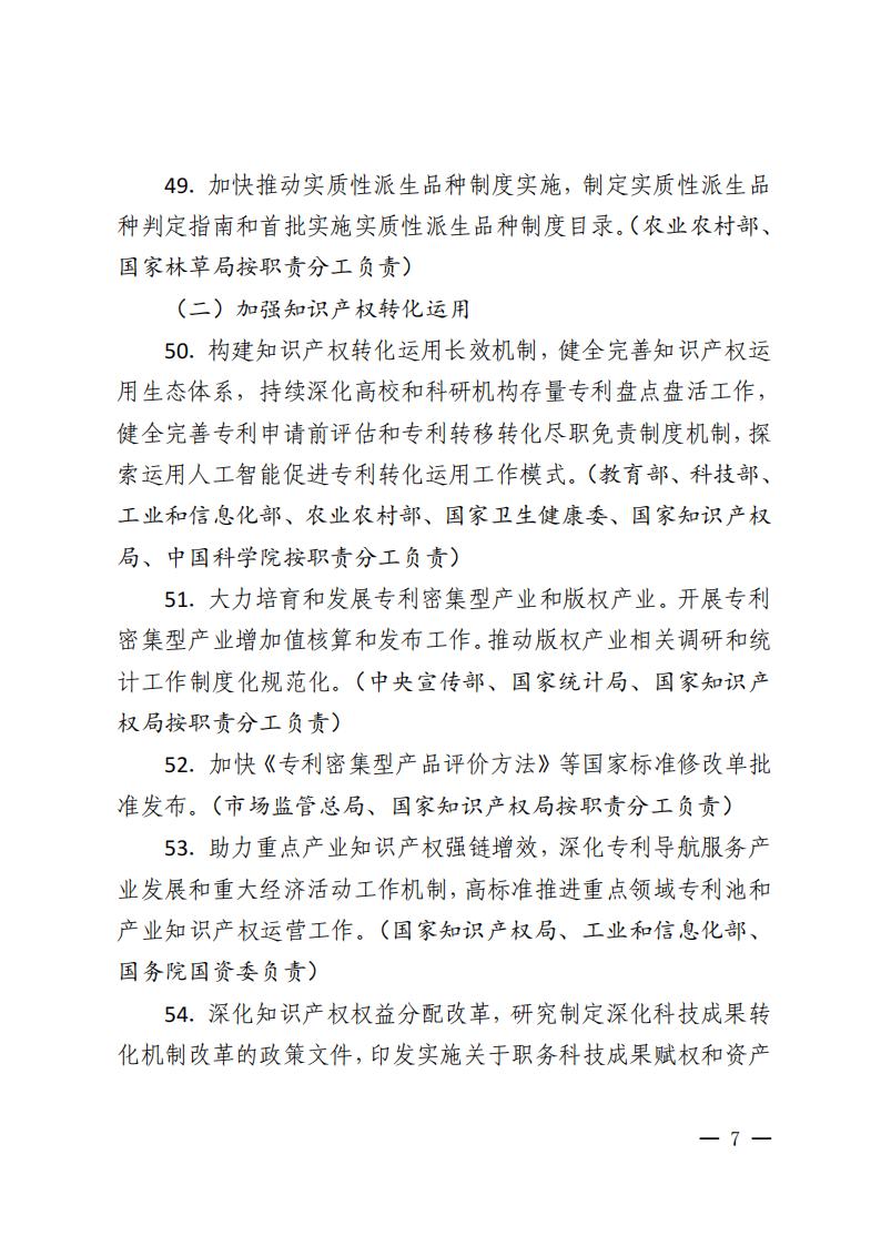 2026年知识产权强国建设推进计划_07.jpg